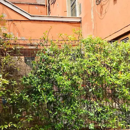 Bella Roma Guest House شقة *